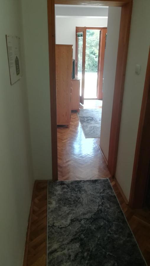 Vila Zoran Apartment Zlatibor Luaran gambar